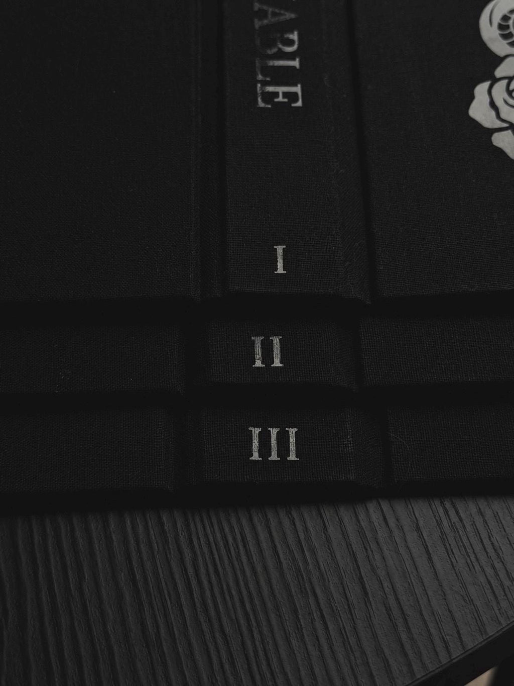 Edge of Darkness Trilogy Special Edition Rebind | Insatiable, Voracious, Restitution by Leigh Rivers | Black on Black