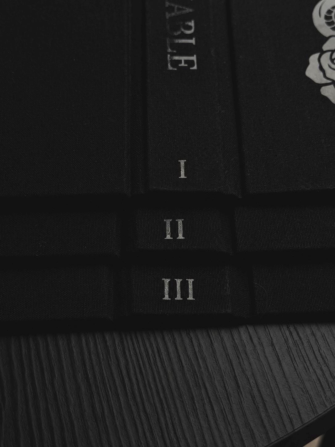 Edge of Darkness Trilogy Special Edition Rebind | Insatiable, Voracious, Restitution by Leigh Rivers | Black on Black