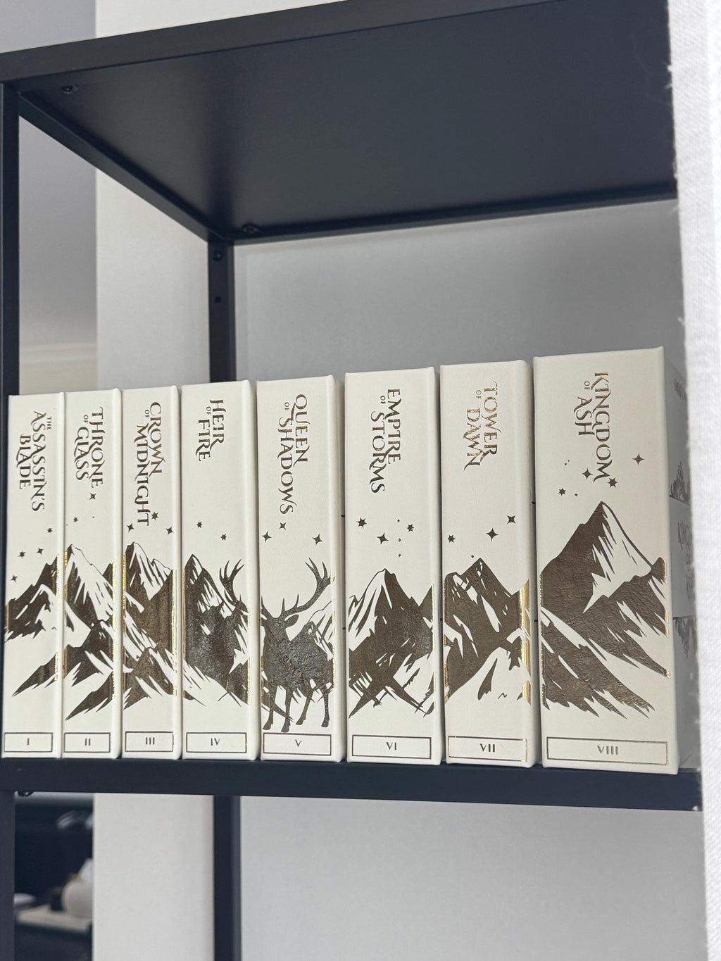 Throne of Glass Special Edition Set | Sarah J. Maas, 8 Volumes | Handmade Limited Run