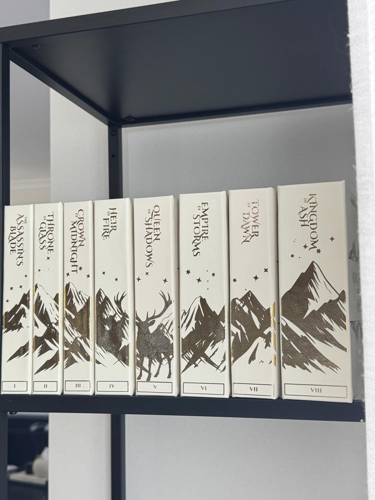 Throne of Glass Special Edition Set | Sarah J. Maas, 8 Volumes | Handmade Limited Run