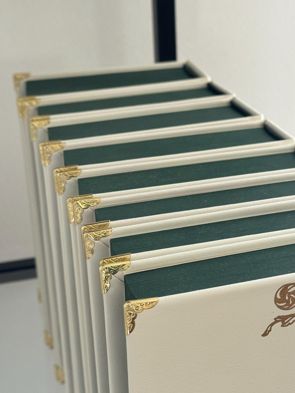 Throne of Glass Special Edition Set | Sarah J. Maas, 8 Volumes | Handmade Limited Run