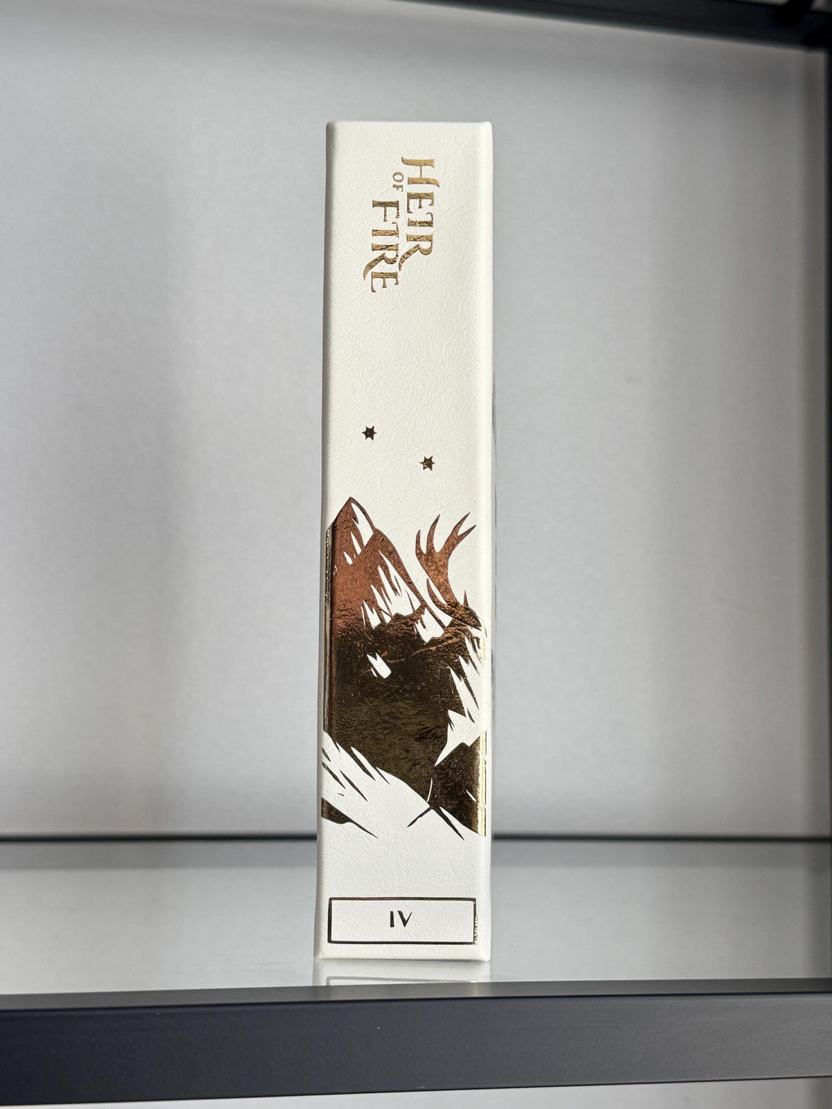 Throne of Glass Special Edition Set | Sarah J. Maas, 8 Volumes | Handmade Limited Run